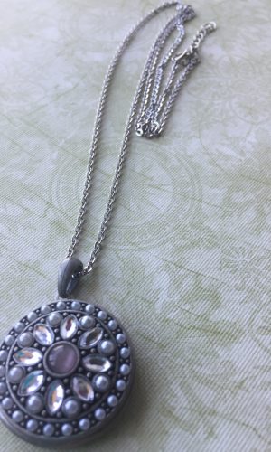 Sarasota Bradenton Silver Stones Locket